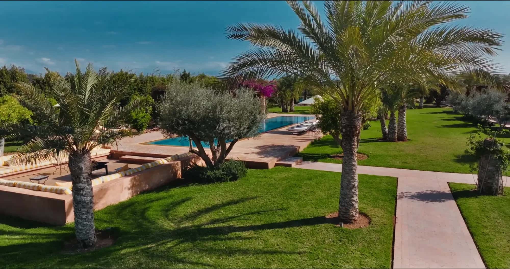 View of the Villa Yemna pool in Marrakech through date palms, with lawn and fuchsia bougainvillea.