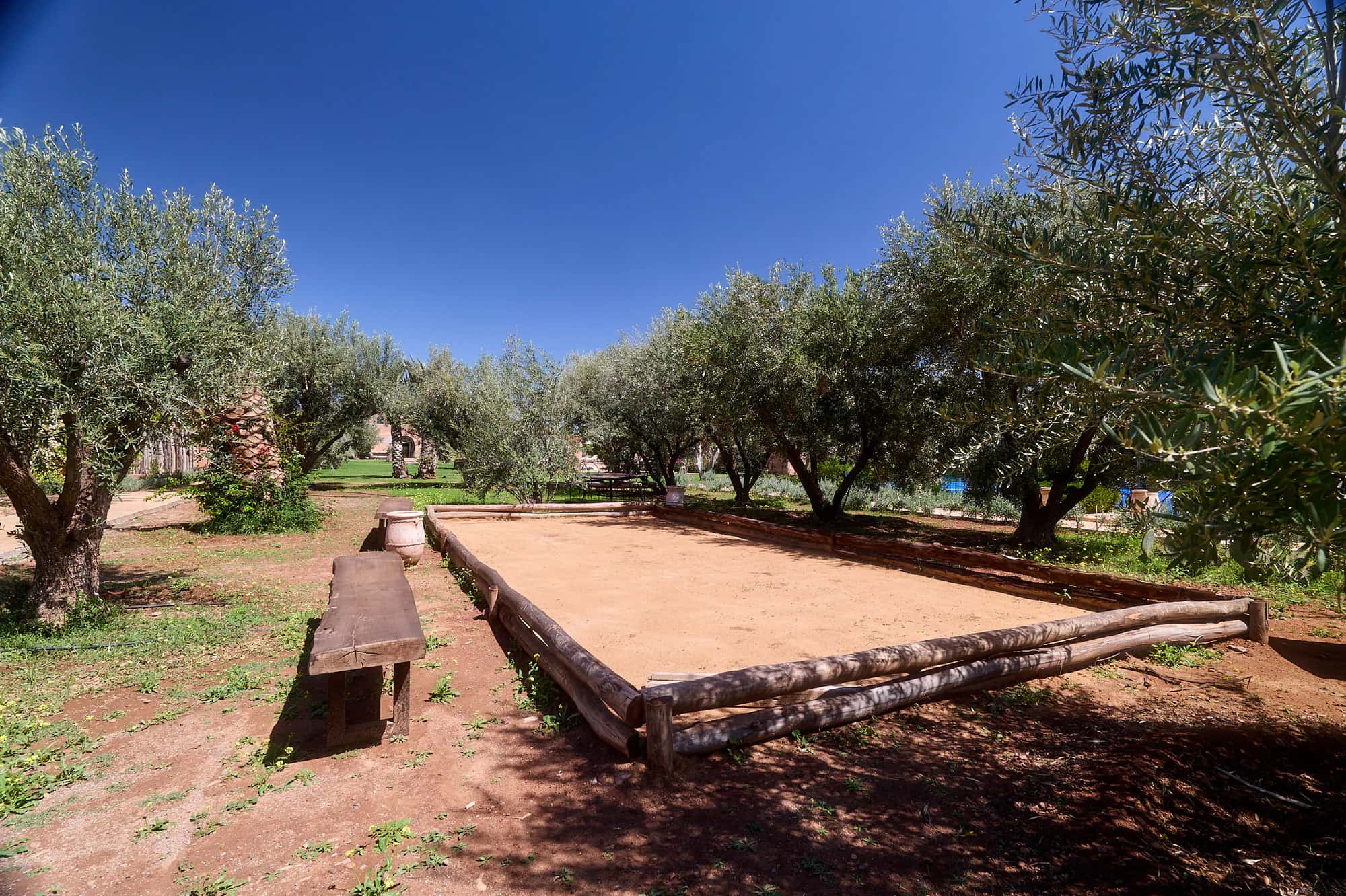Villa Yemna petanque court under olive trees, with wooden benches, natural borders, and the blue Marrakech sky.