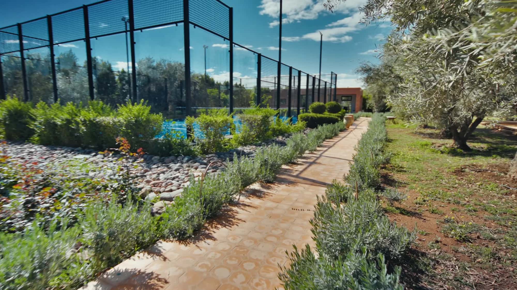 Pathway leading to the private padel court at Villa Yemna in Marrakech, lined with olive trees, lavender and decorative pebbles.