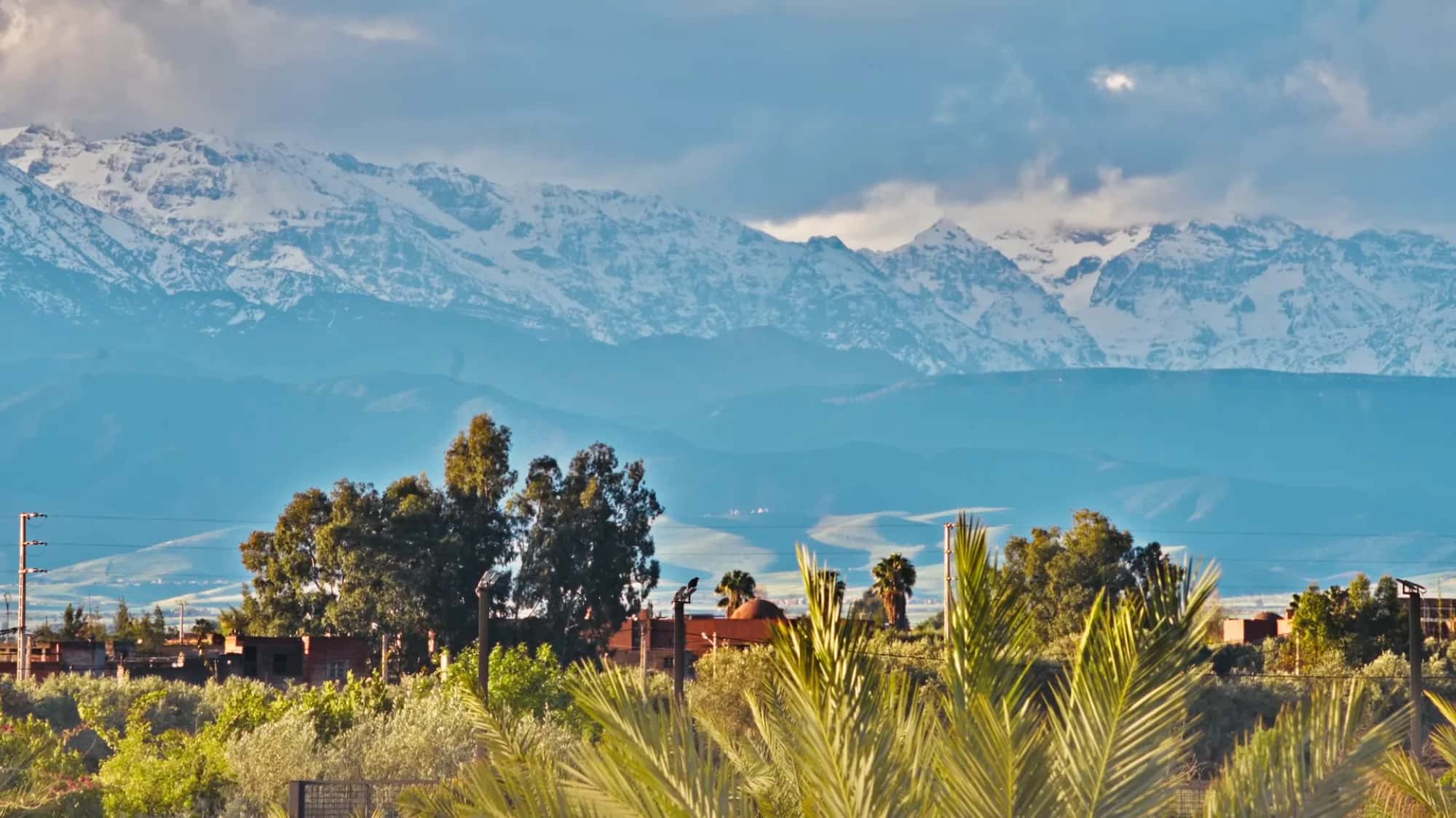 Panorama from Villa Yemna in Marrakech of the snow-capped Atlas Mountains, with date palms and olive grove in the foreground.