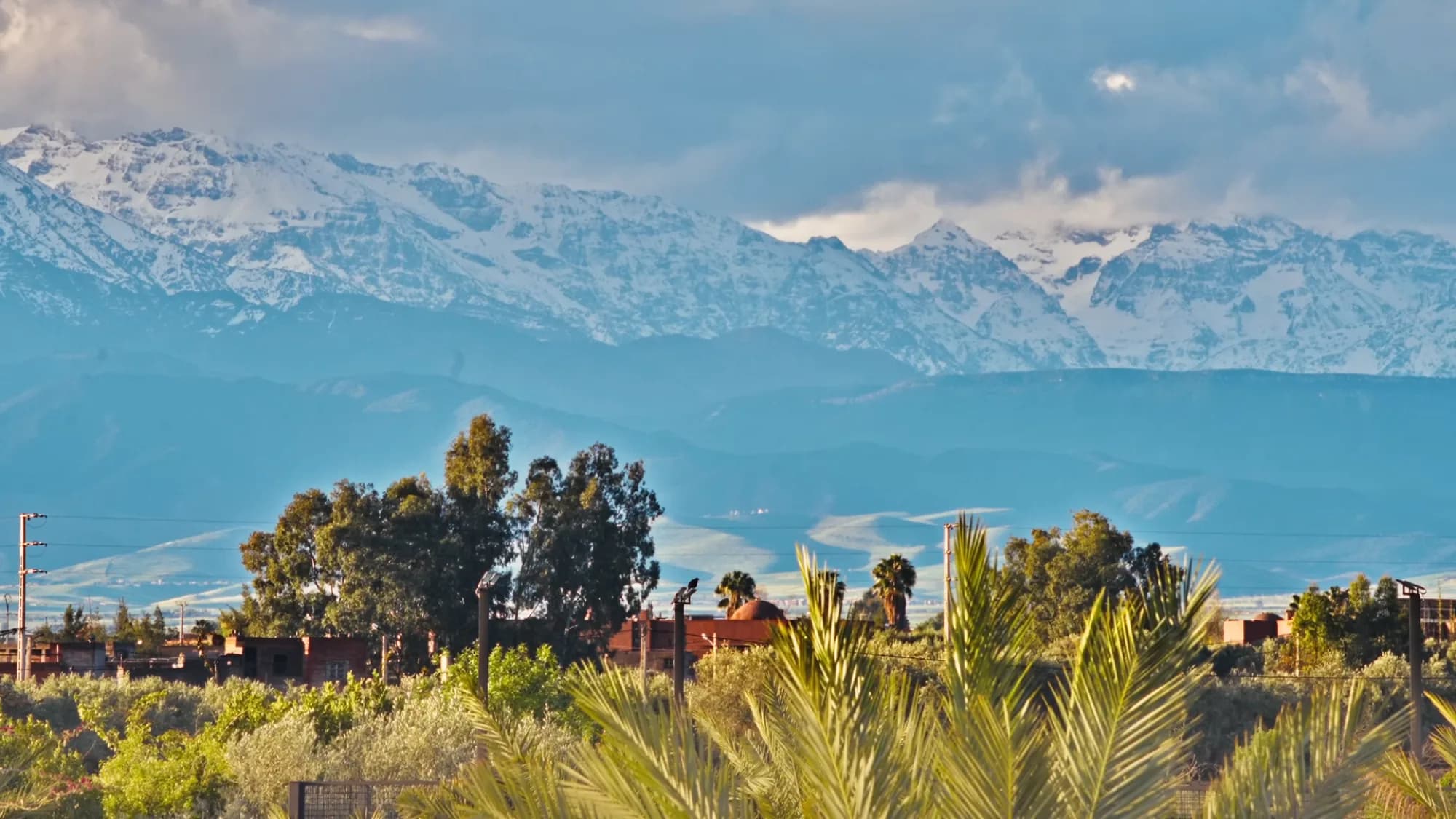 Panorama from Villa Yemna in Marrakech of the snow-capped Atlas Mountains, with date palms and olive grove in the foreground.